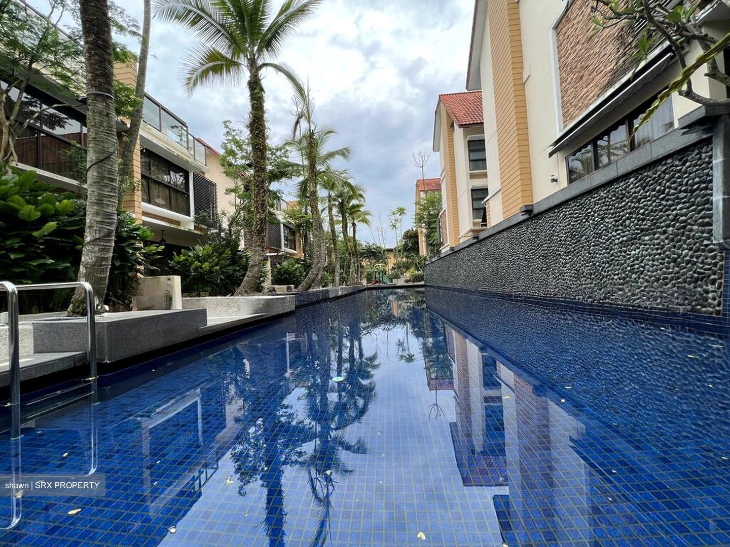 Holland Link (D10), Terrace #503549111